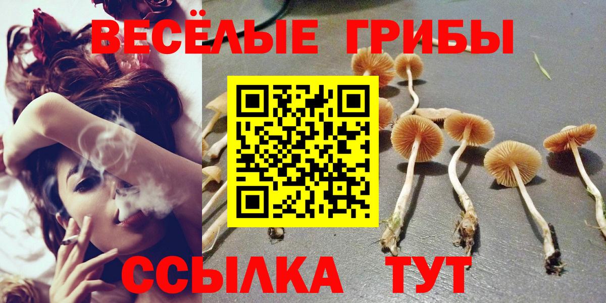 Псилоцибиновые грибы Cubensis  где продают   Кирово-Чепецк  Вход с VPN  Галлюциногенные грибы Psilocybe 