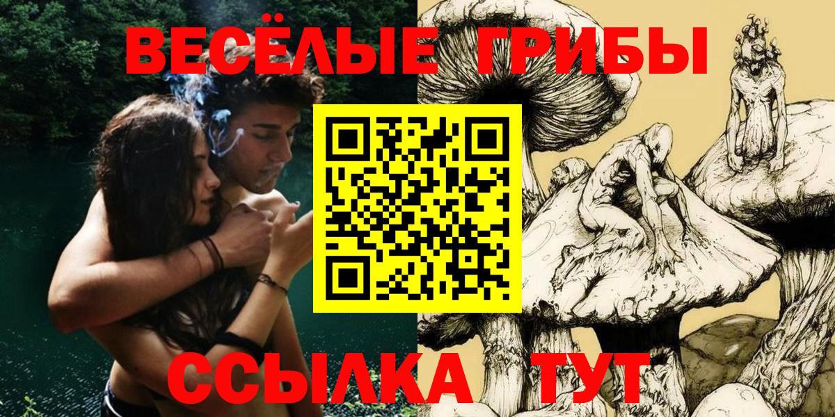 Псилоцибиновые грибы Psilocybine cubensis Кирово-Чепецк
